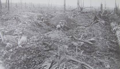 Longueval and Delville Wood Forest